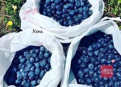 蓝莓果酱的做法图解1