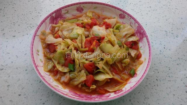 西红柿炒卷心菜