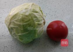 西红柿炒卷心菜的做法图解1