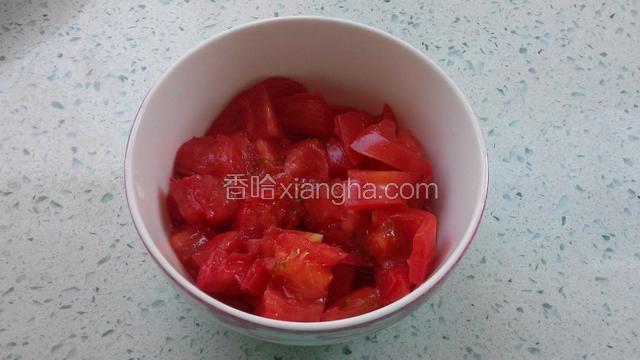 西红柿洗干净，切丁。