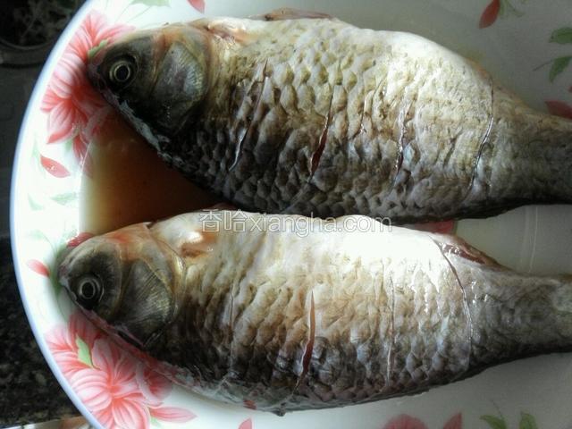 鲫鱼洗净两侧斜化口子洒盐，鱼肚子也放入少许盐，倒入料酒腌20分钟