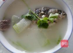 冬瓜薏仁鲫鱼汤的做法图解6