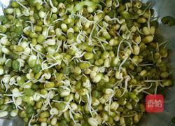 生绿豆芽的做法图解3