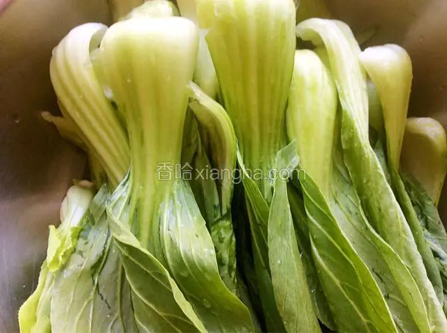 油菜先择干净后洗干净，控干水份待用。