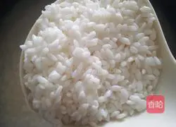 Illustration of braised meat rice 5