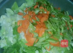 泡菜的做法图解4