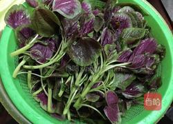 蒜蓉苋菜的做法图解1