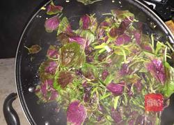 蒜蓉苋菜的做法图解5