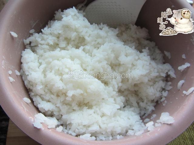 先煮一锅米饭，米饭要稍微硬一点，然后倒里点米醋，拌开。