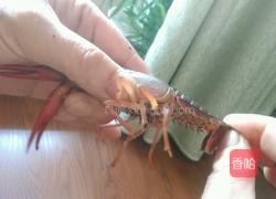 清蒸小龙虾的做法图解3