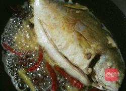 家常干烧鲤鱼的做法图解4