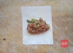 糖果蒸饺（芹菜猪肉馅儿）的做法图解11