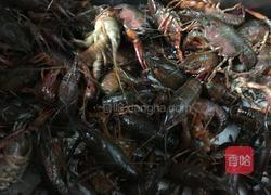 家常龙虾的做法图解1