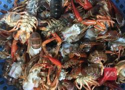 家常龙虾的做法图解2