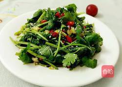 凉拌香菜的做法图解6