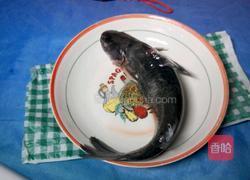 鲶鱼烧茄子的做法图解1