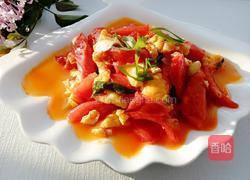 西红柿鸡蛋的做法图解13