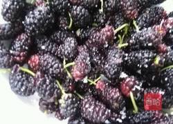 桑葚果汁的做法图解2