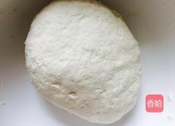 小白菜素馅小包子的做法图解2