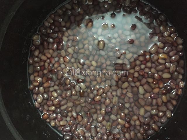 加水，没过红豆，再多高一粒豆子的高度即可。煮20-30分钟。煮至有点脱壳，软烂。