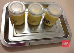 芒果布丁的做法图解6