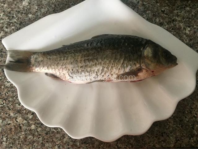 新鲜鲫鱼刮去鱼鳞去除内脏备用