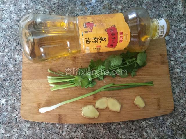 油，香葱，香菜，姜片备用