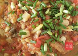 酸辣白鲢鱼的做法图解6