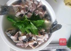 清炖鱼的做法图解9