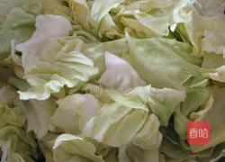 素炒洋白菜的做法图解2