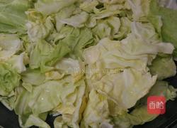 素炒洋白菜的做法图解4