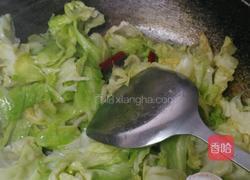 素炒洋白菜的做法图解7