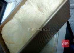 无黄油版全麦奶香土司的做法图解12