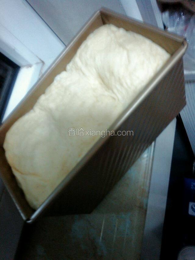 发成这个程度
