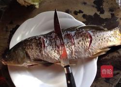 炖鲤鱼的做法图解2