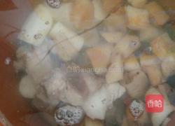 土茯苓山药排骨汤的做法图解7