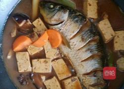 鲤鱼炖豆腐的做法图解7