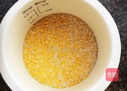 小米饭的做法图解1