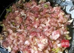 茴香饺子的做法图解5