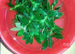 凉拌田七的做法图解2