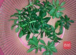 凉拌田七的做法图解1