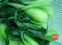 青菜豆腐的做法图解4