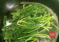 凉拌粉丝菠菜的做法图解5
