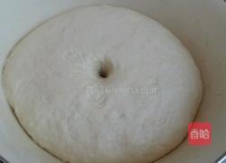 老面馒头的做法图解4