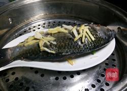 凉拌鲫鱼的做法图解8