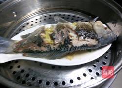 凉拌鲫鱼的做法图解9