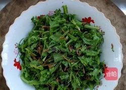 丁香鱼拌苦菊的做法图解5