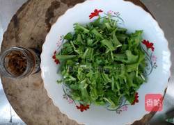 丁香鱼拌苦菊的做法图解4