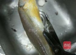 炸小黄鱼的做法图解1