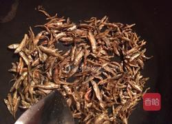 小银鱼炒辣椒的做法图解2